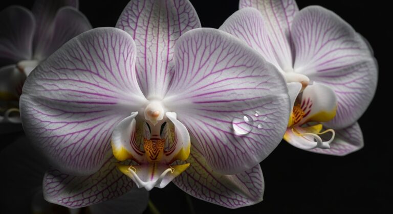 Human Veins Orchid Petals: AI Prompts for Surreal Botanical Art
